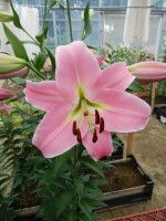 [5680 VZ W08 3000-01 No02.JPG]